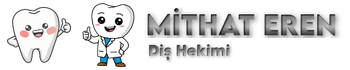 Dr Mithat Eren